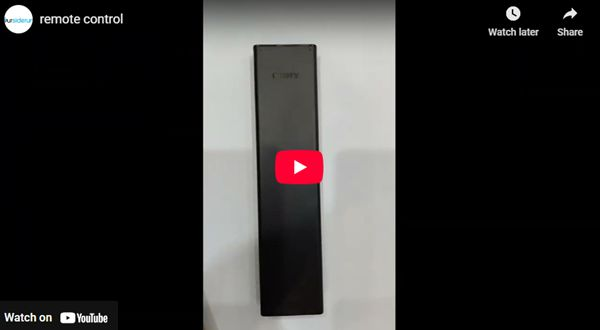 shenzhen siderun remote control